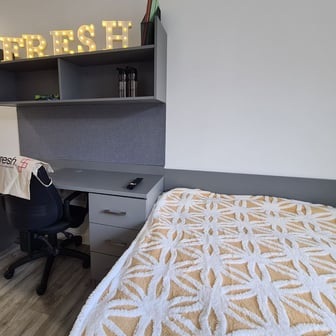 Premium Plus Studio - Image 3